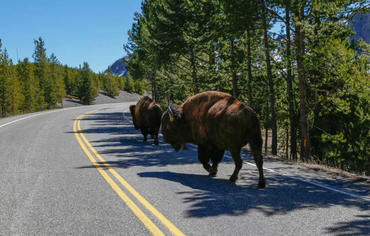 Yellowstone Park Hotel Запад Йеллоустон Экстерьер фото